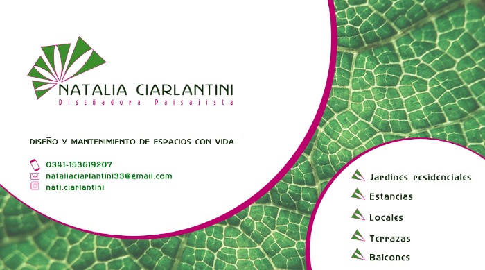 diseñadora paisajistadiseño, ejecución y mantenimiento de jardines residenciales, terrazas, balcones, patios internos, estancias, complejos, locales