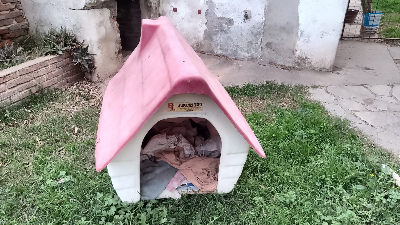 Casa para perros